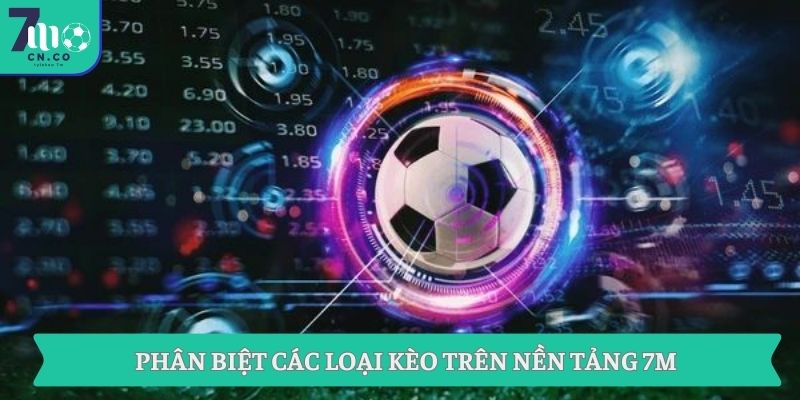 Bổ Sung Kiến Thức Kèo Bóng Đá Và Kinh Nghiệm Từ 7M 7 Phân biệt các loại kèo trên nền tảng 7M