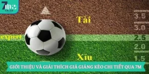 Giới Thiệu Và Giải Thích Giá Giảng Kèo Chi Tiết Qua 7m