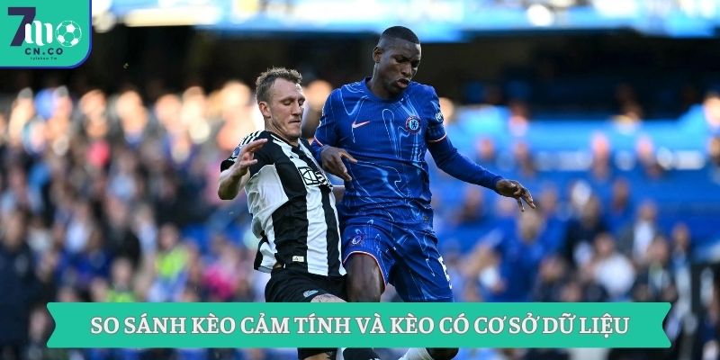 So sánh kèo cảm tính và kèo có cơ sở dữ liệu