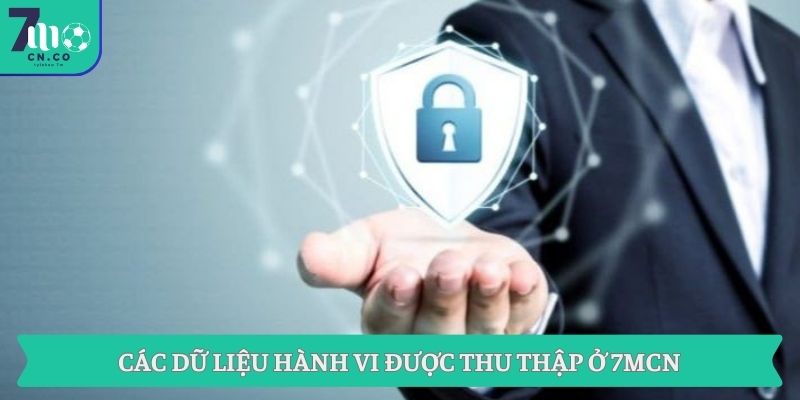 Các dữ liệu hành vi được thu thập ở 7MCN