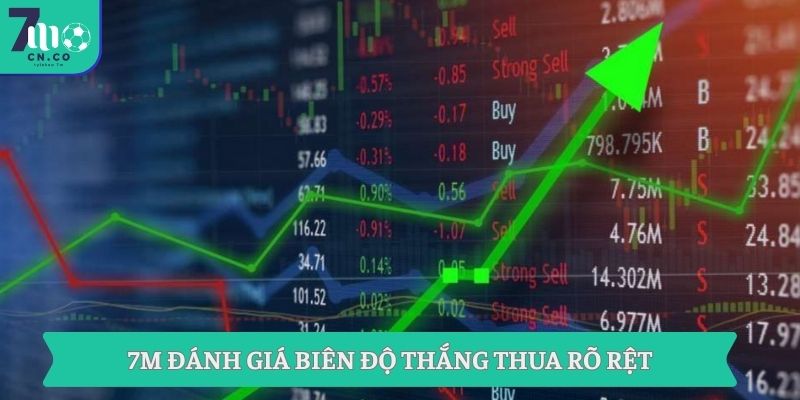 7M đánh giá biên độ thắng thua rõ rệt